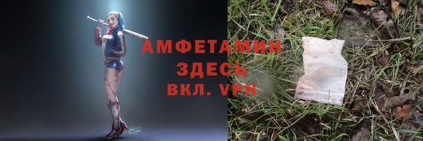 шишки Богородск
