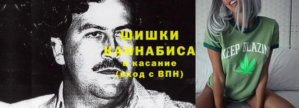 твердый Богородицк