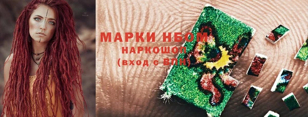 шишки Богородск