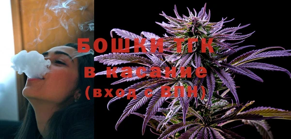шишки Богородск
