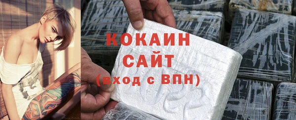шишки Богородск