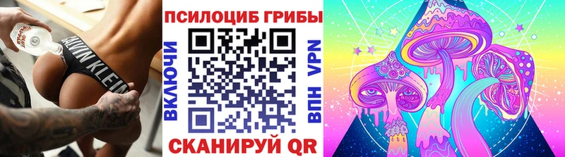 ОМГ ОМГ как зайти  Михайлов  Галлюциногенные грибы Cubensis  купить наркотики цена 